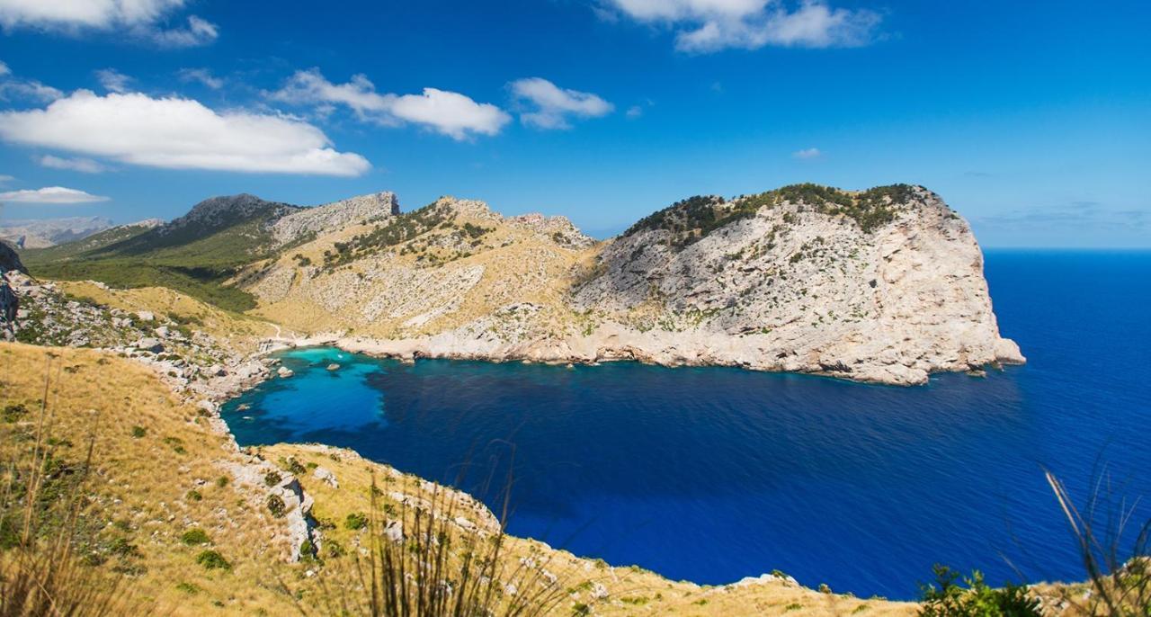 Luxury Villa Phoenix Port de Pollença Eksteriør bilde
